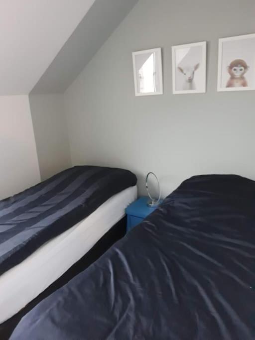 Les Cottages Du Golf A 플뢰멜 외부 사진