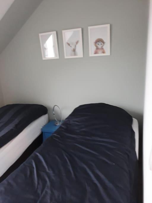 Les Cottages Du Golf A 플뢰멜 외부 사진